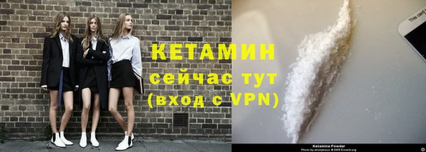 индика Коряжма