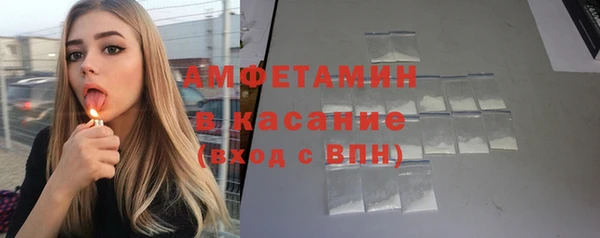 индика Коряжма
