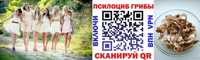 Галлюциногенные грибы прущие грибы  Купить  Владикавказ 
